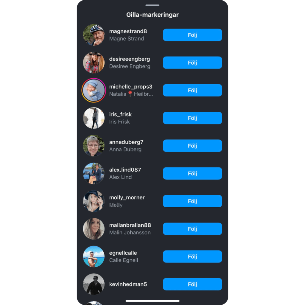 TikTok Video Borttagen